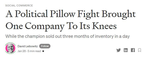 "A Political Pillow Fight Brought One Company To Its Knees..."